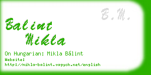 balint mikla business card